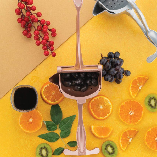 Manual Fruit Juicer Heavy Duty Aluminium Compact